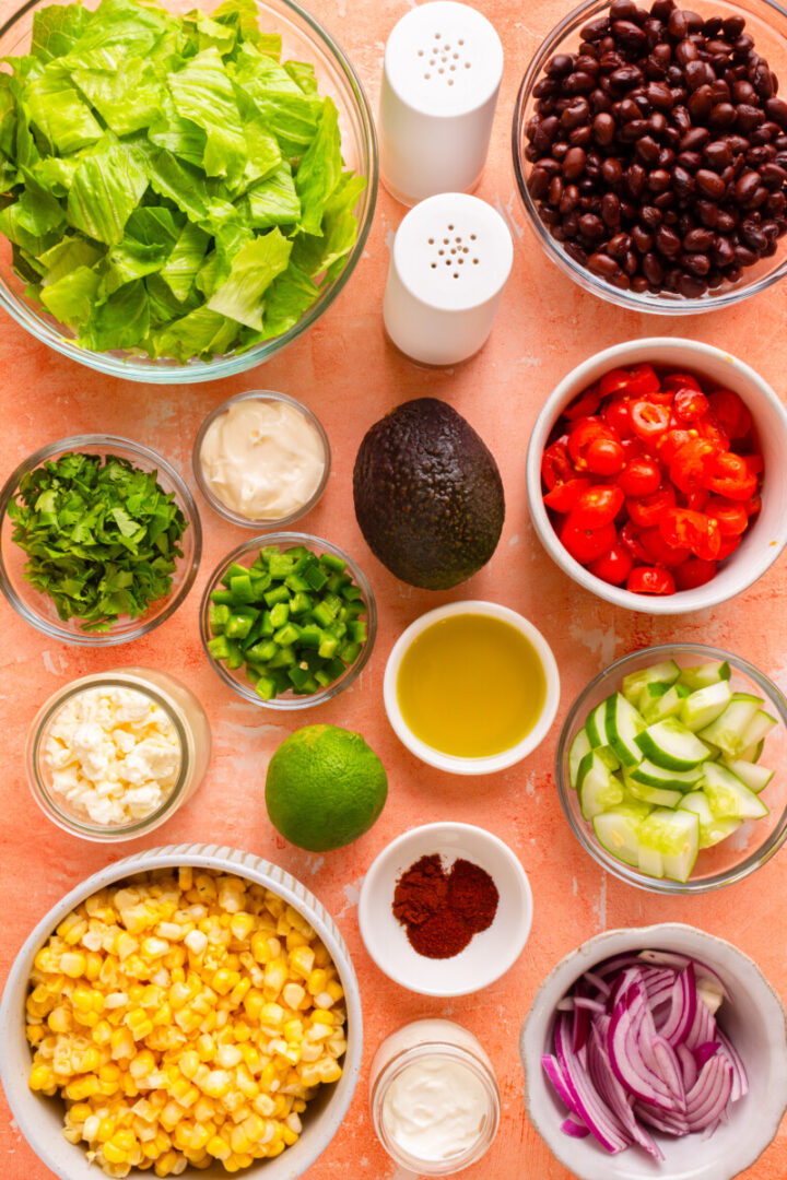 Ingredients for Santa Fe salad including lettuce, tomato, black beans, corn, onion, avocado, jalapeño, and cilantro.