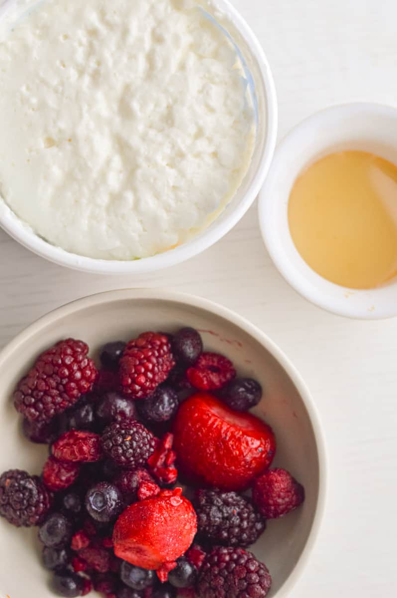 Ingredients for protein ice cream including honey, cottage cheese and berries.