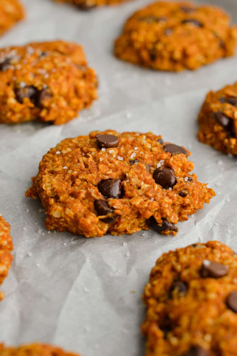 Flourless Pumpkin Oatmeal Cookies (Gluten-Free)