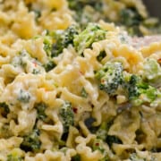 Close up of cottage cheese alfredo pasta with broccoli.