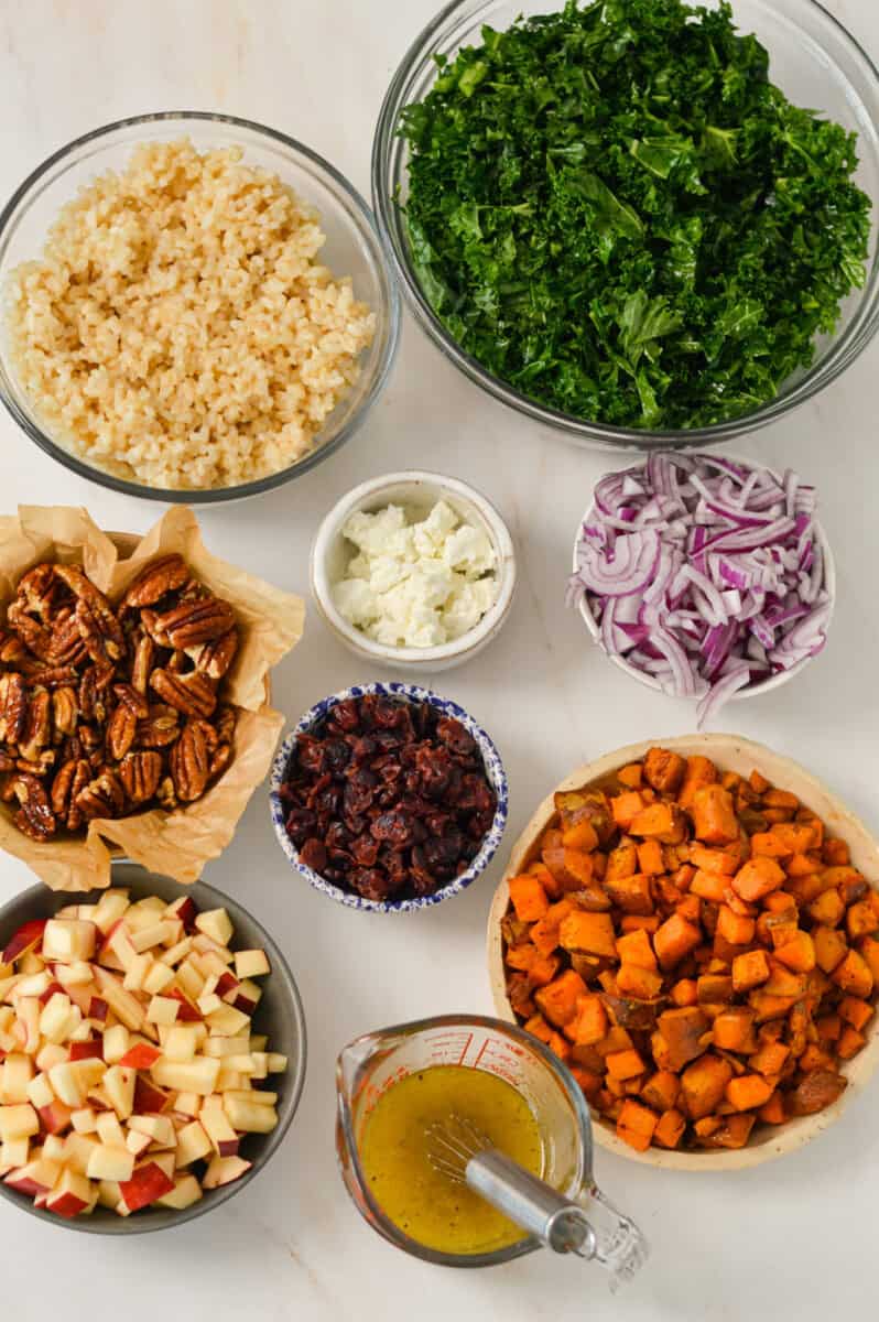 Ingredients for salad including kale, sweet potato, pecans, maple Dijon dressing, red onion, apples, and goat cheese