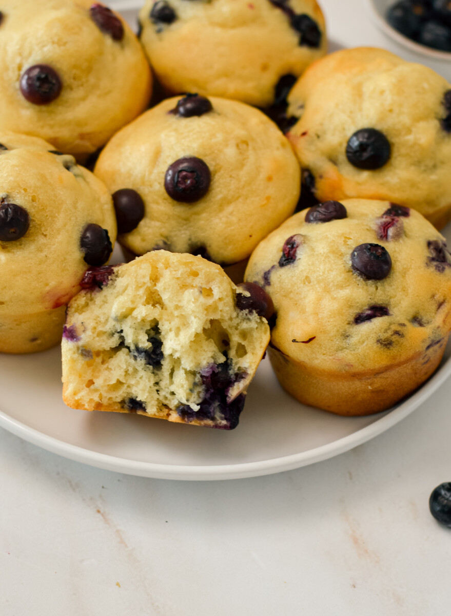 Close up of Blueberry Greek Yogurt Muffins on a plate. One has a bite taken out of it.