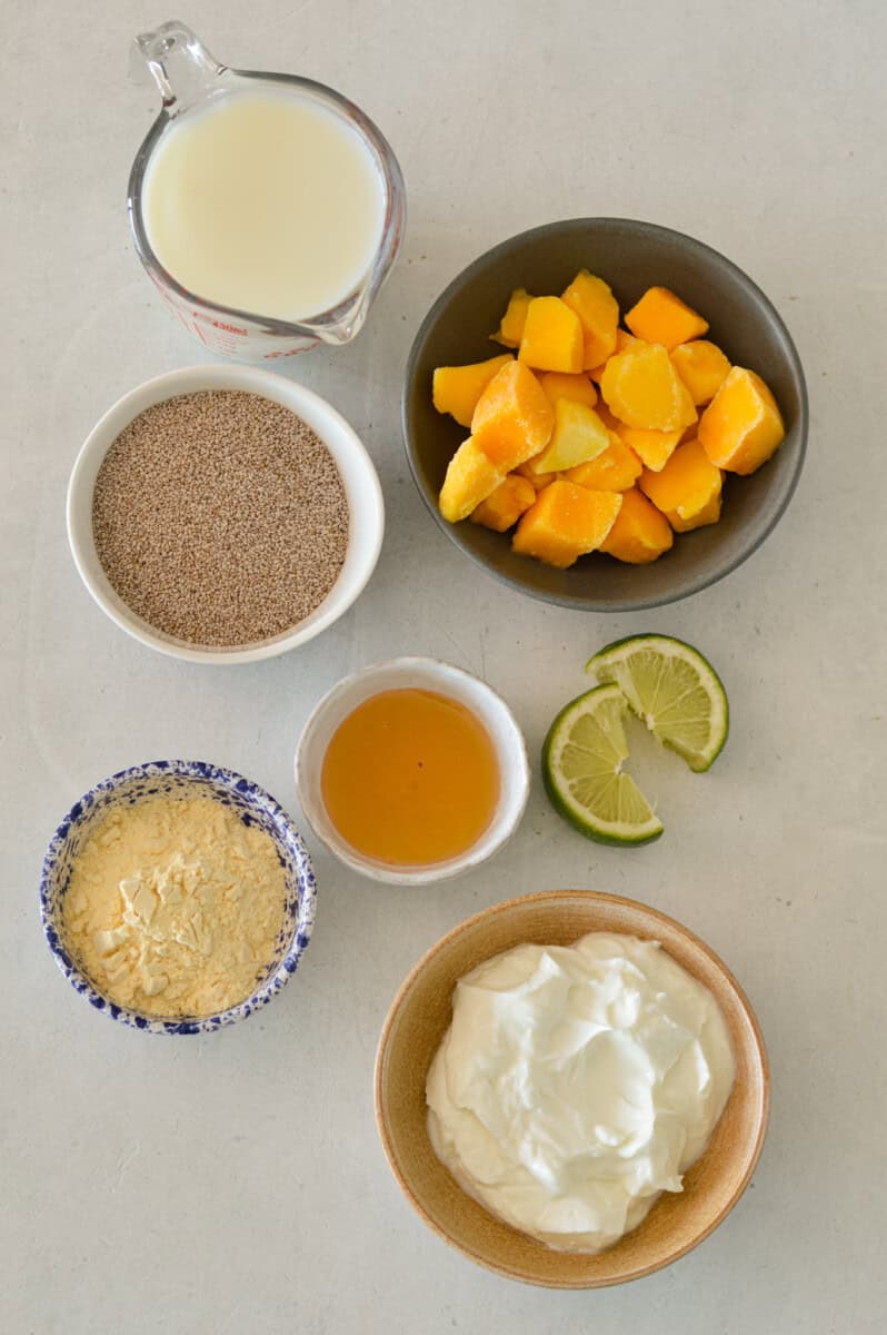 Ingredients for mango pudding including chia seeds, frozen mango, vanilla protein powder, greek yogurt, honey, lime and milk.