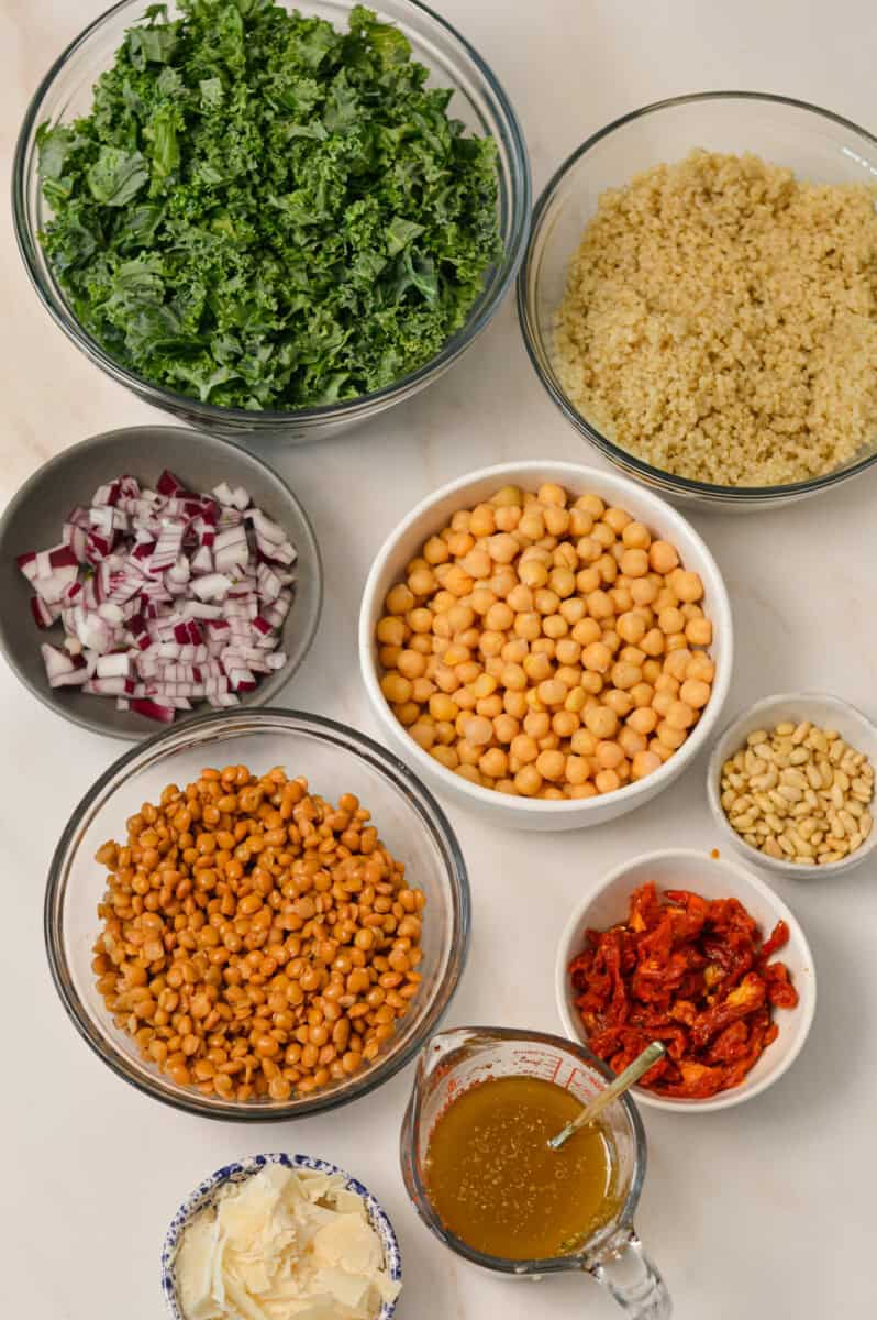 Ingredients for the meal prep salad including red onion, chickpeas, lentils, sun dried tomatoes, curly kale, parmesan cheese, pine nuts, and salad dressing.